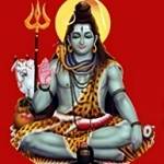 Astrologer Master Shiva Mahadev profile picture