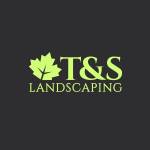 TS Landscaping profile picture