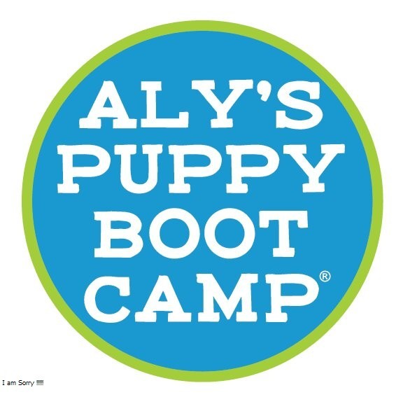 Aly's Puppy Boot Camp Profile Picture