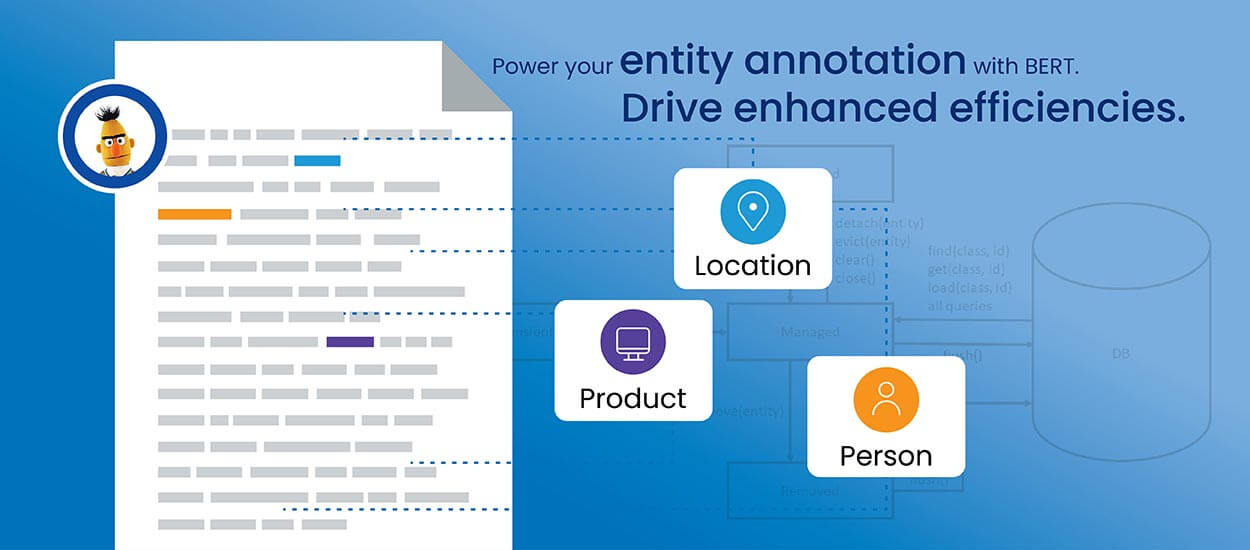 BERT Impact on Entity Annotation Quality for Improved ML Models