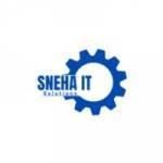 Sneha IT Solutions Profile Picture