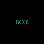 BCA Research profile picture