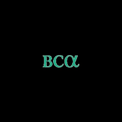 BCA Research Profile Picture