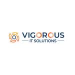 Vigorous IT Solutions Profile Picture