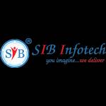 SIB Infotech Profile Picture