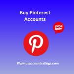 Buy Pinterest Accounts Profile Picture