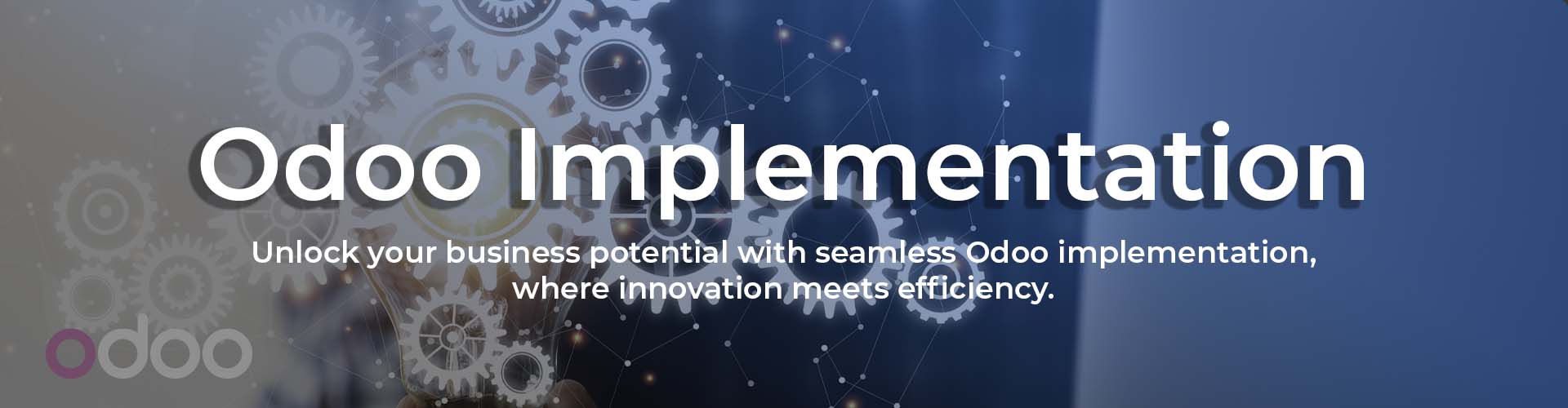 Best Odoo Implementation Partner in 2024 | Banibro