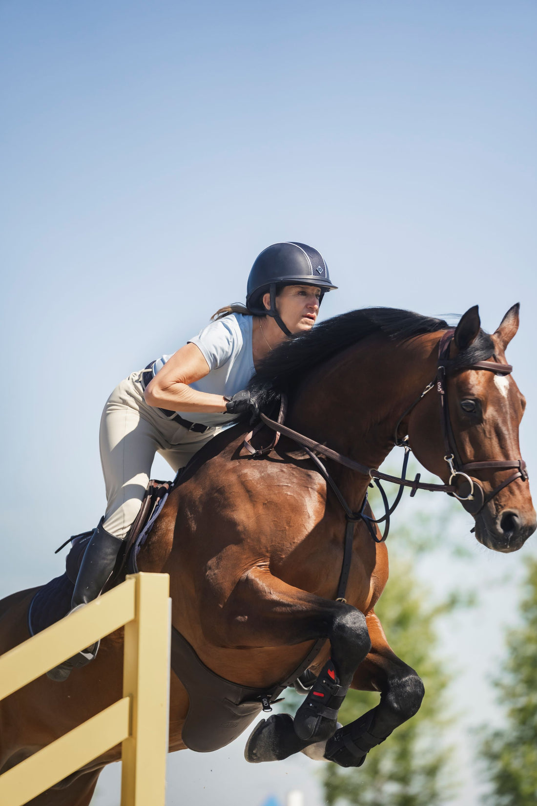 Horse Jump Poles Safety Precautions and Maintenance