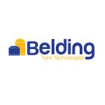 Belding Tank Technologies Inc Profile Picture