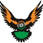 nri wings Profile Picture