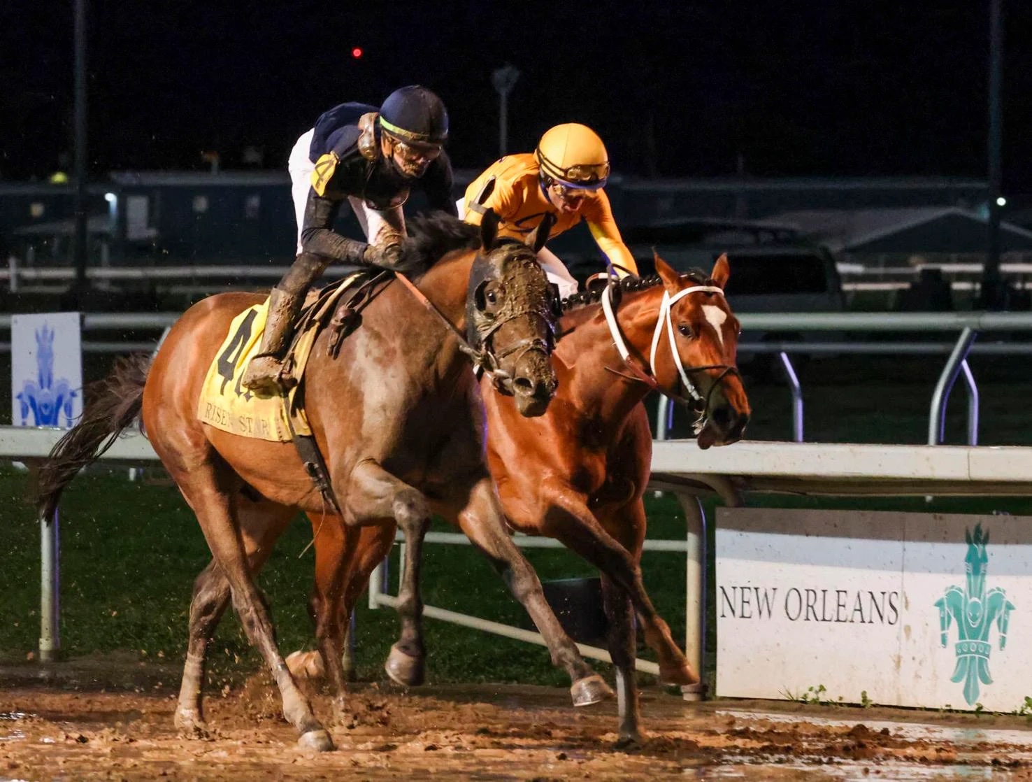 King Russell Horse in the Kentucky Derby