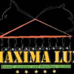 Pansion zas pse MAXIMA LUX Beograd Profile Picture