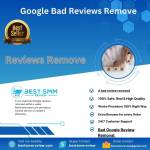 Google Bad Reviews Remove Profile Picture