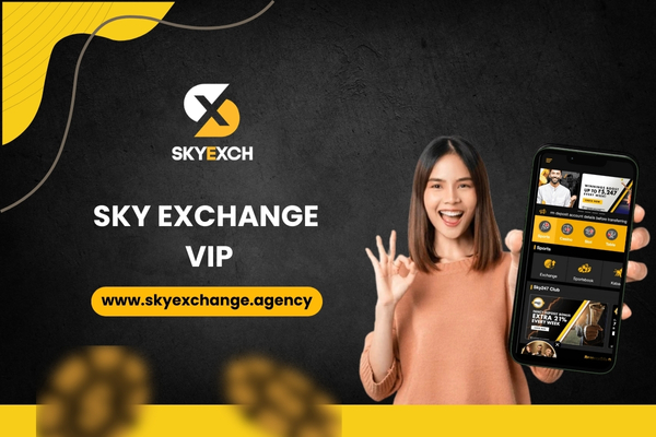 Sky Exchange VIP vs Regular Accounts: What’s the Difference?...