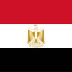 Egyption Government Visa Profile Picture