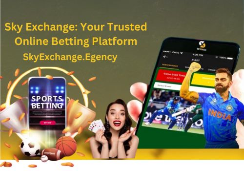 Sky Exchange ID: How to Withdraw Your Winnings Safely Money |...