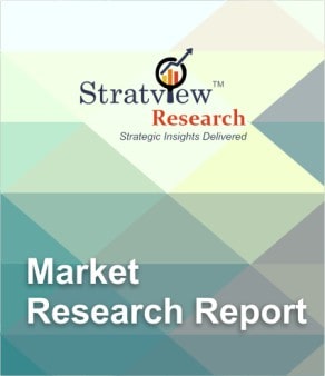 Electric Vehicle Plastics Market | Strategic Assessment and Competitive Analysis