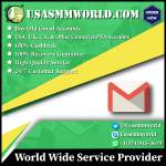 usasmm world Profile Picture