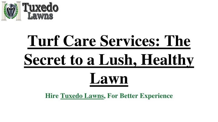 PPT - Turf Care Services PowerPoint Presentation, free download - ID:14078914