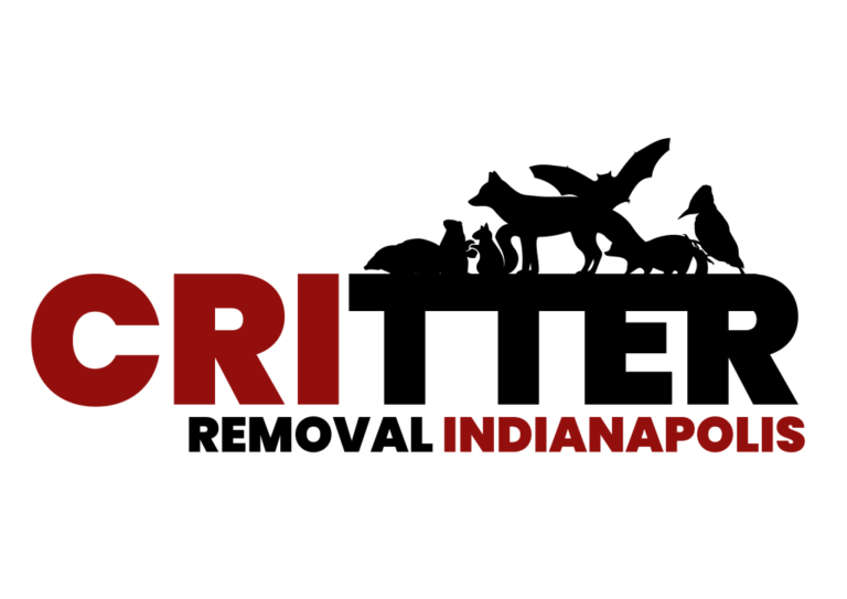 Bat Removal Zionsville IN | Critter Removal Indianapolis