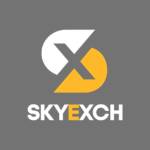 SkyExchange Games Profile Picture