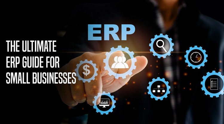 Why 1 in 5 Pakistani SMEs Struggle with ERP Software in Pakistan; How to Succeed - BIP America