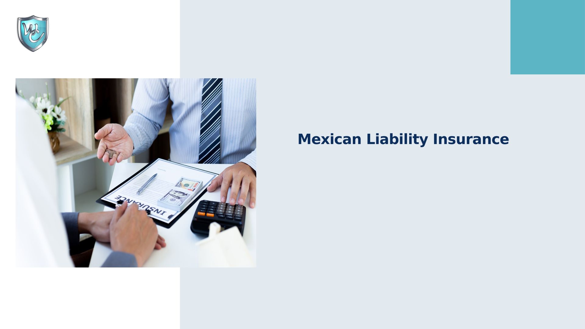 Everything You Need To Know About Mexican Liability Insurance