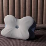 Derila Ergo Pillow Reviews Profile Picture