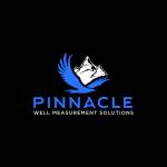 Pinnacle Well Measurements Profile Picture