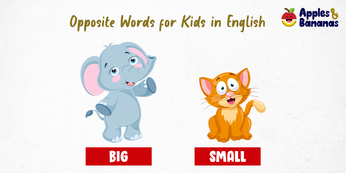 Opposite Words for Kids in English