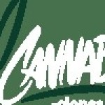 Cannabis Clones Profile Picture