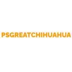 Ps great Chihuahua Profile Picture