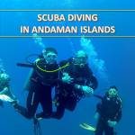 Experienceandamans Scubadivingandaman Profile Picture