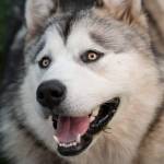 kyri emilan Profile Picture