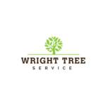 Wright Tree Service profile picture