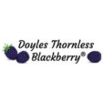 Doyles Blackberry Inc Profile Picture