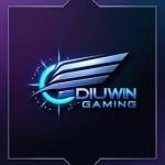 Diu win Profile Picture