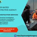 Spy Investigation Agency Profile Picture