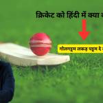 Raj Chaudhary Profile Picture