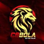 csbola_net Profile Picture