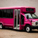 Pink Party Buses Profile Picture