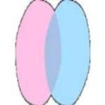 chatnederlands12 Profile Picture