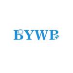 BYWB Bearing Profile Picture