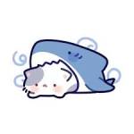 tion puri Profile Picture