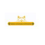 dreamschanuzerpuppieshome Profile Picture