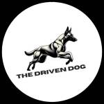 The Driven Dog Profile Picture