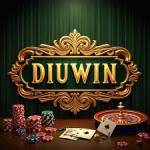 Diuwin login Profile Picture
