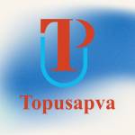 Topusapva profile picture