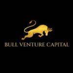 Bullventurecapital Profile Picture