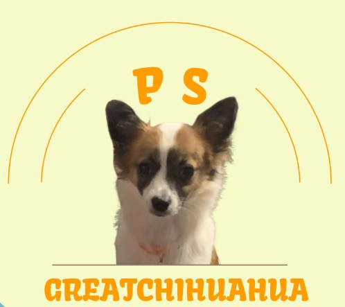 small dog breeders alabama Archives - Psgreatchihuahua